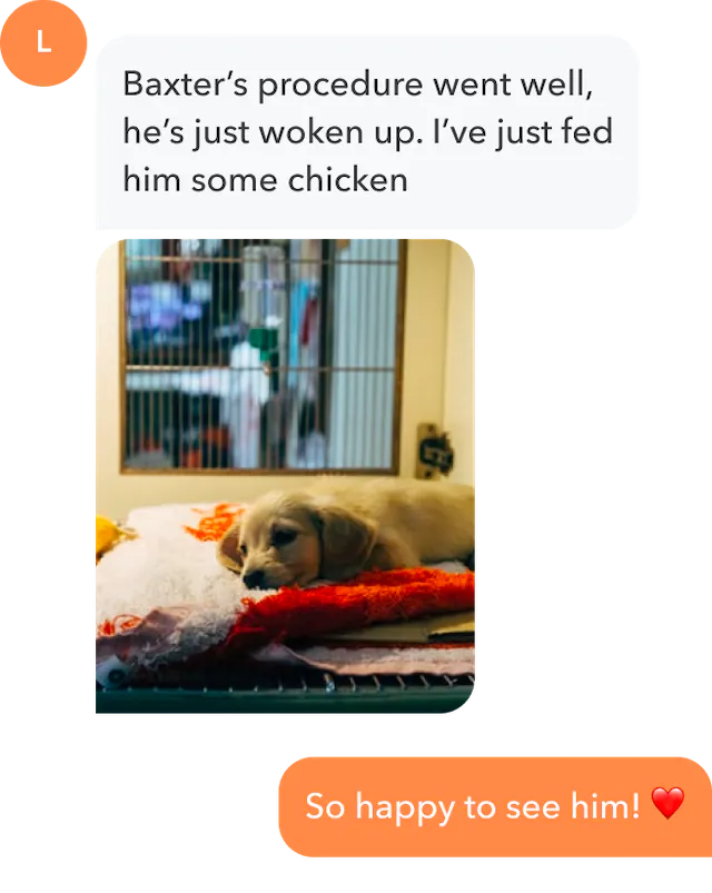 A puppy rests on a cosy bed while messages appear: Baxters operation went well and So glad to see him! Thanks to Sanderson Vet, our little friend is back on his feet quickly!.