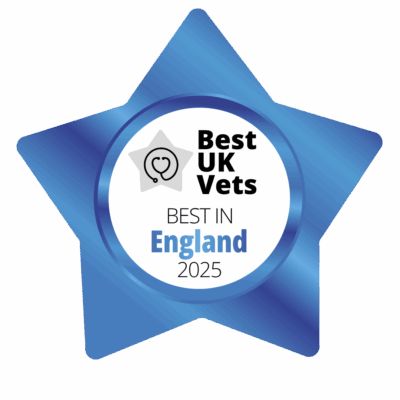 Blue, star-shaped badge with the words: Best UK Vets, Best in England 2025, and a heart with a stethoscope picture.
