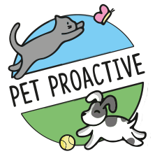 A logo with a grey cat chasing a pink butterfly and a black and white dog running after a yellow ball. The words PET PROACTIVE are written across the middle, showing active protection for pet insurance.