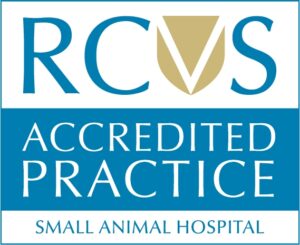 RCVS Accredited Practice logo for Small Animal Hospital, showing blue and gold writing and symbols to show our accreditations and awards.