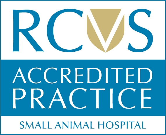 RCVS Accredited Practice logo for Small Animal Hospital, showing blue and gold writing and symbols to show our accreditations and awards.