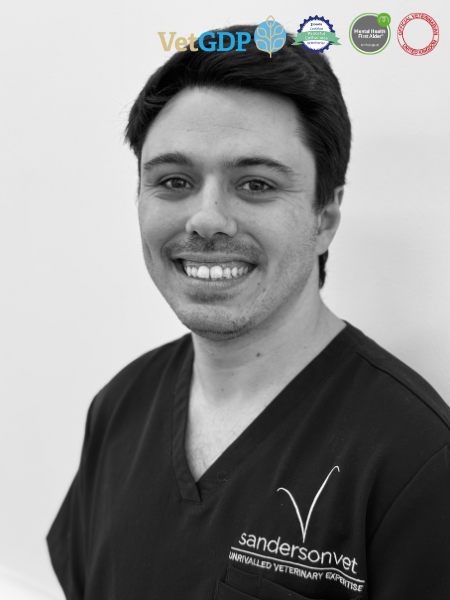 A man dressed in dark veterinary scrubs with a sandersonvet logo smiles at the camera. Veterinary certification logos are shown in the top right corner.