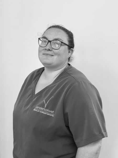 A person with glasses is wearing veterinary scrubs that have a Sandersonvet logo, standing in front of a plain background.