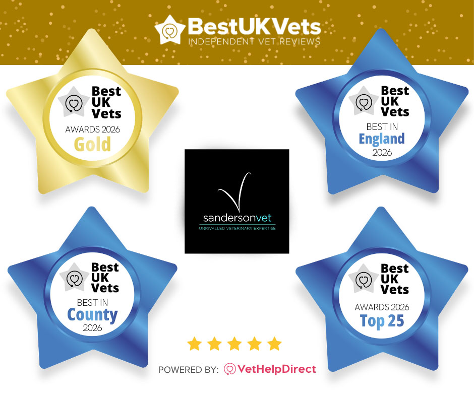 BestUKVets 2026 award badges for Sanderson Vet, showing Gold, Best UK Vet in England, Best in County, and Top 25 Vet. Each badge has a central logo and star ratings underneath.