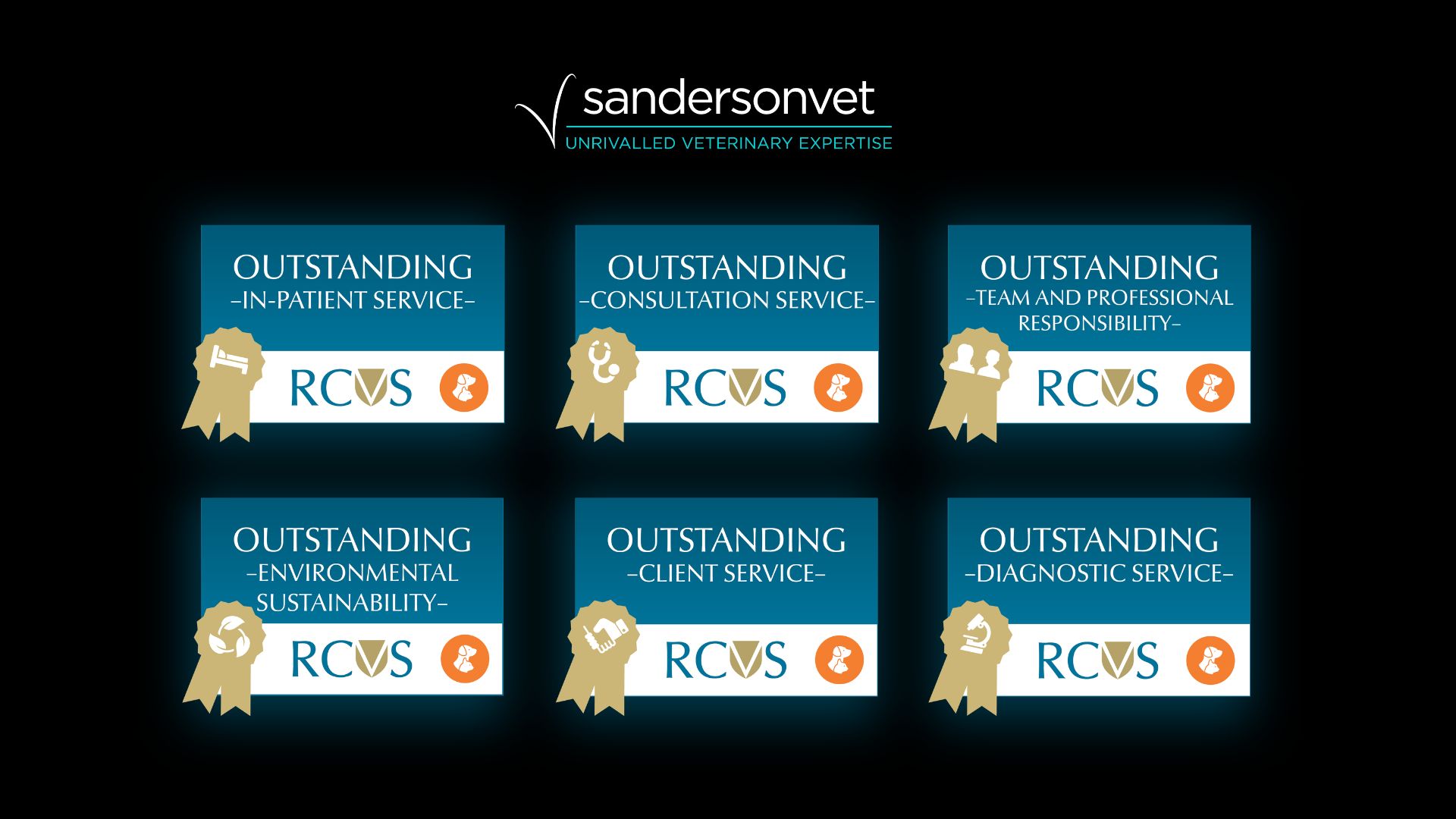The Sanderson Vet logo displayed above six RCVS veterinary practice standards awards for in-patient service, consultations, team and professional responsibility, environmental sustainability, client service, and diagnostic service.